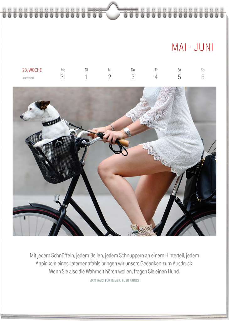 Weitere Ansicht: Literarischer Fahrrad Kalender 2027 | Vivendi Ars, ars vivendi Verlag