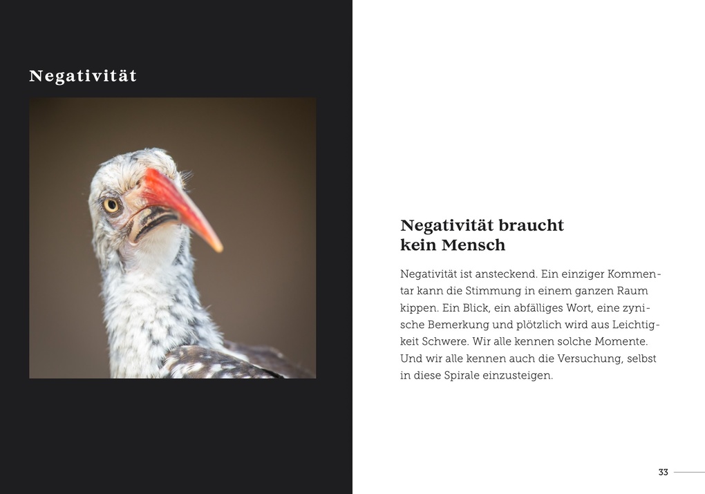 Weitere Ansicht: babysteps | Carina Hellmich, Marc Rasmus