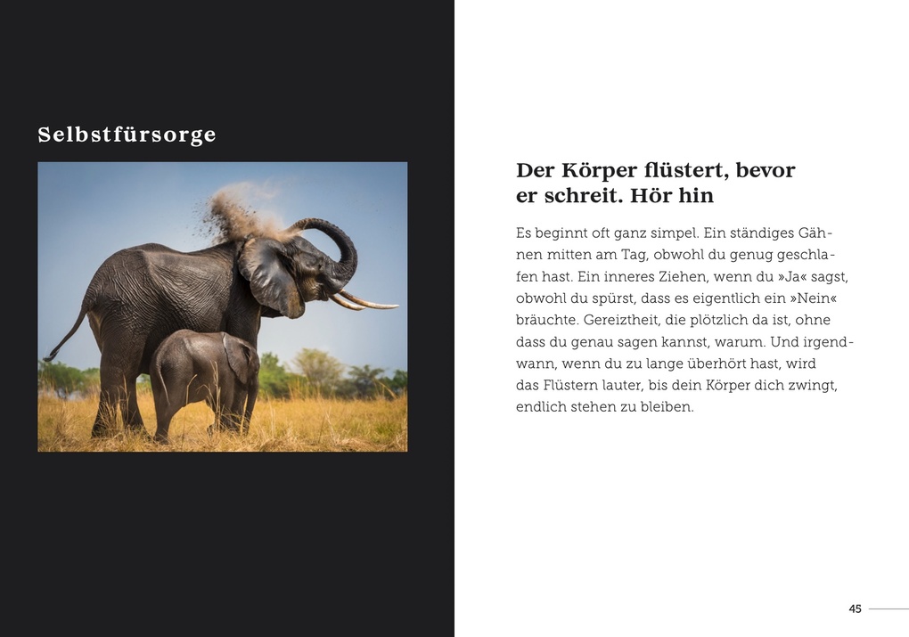 Weitere Ansicht: babysteps | Carina Hellmich, Marc Rasmus