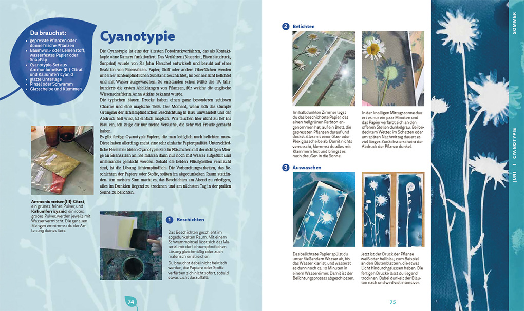 Weitere Ansicht: Bunte Blätter | Michaela Müller