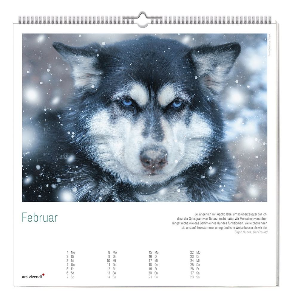 Weitere Ansicht: Der große literarische Hunde Kalender 2027 | ars vivendi Verlag