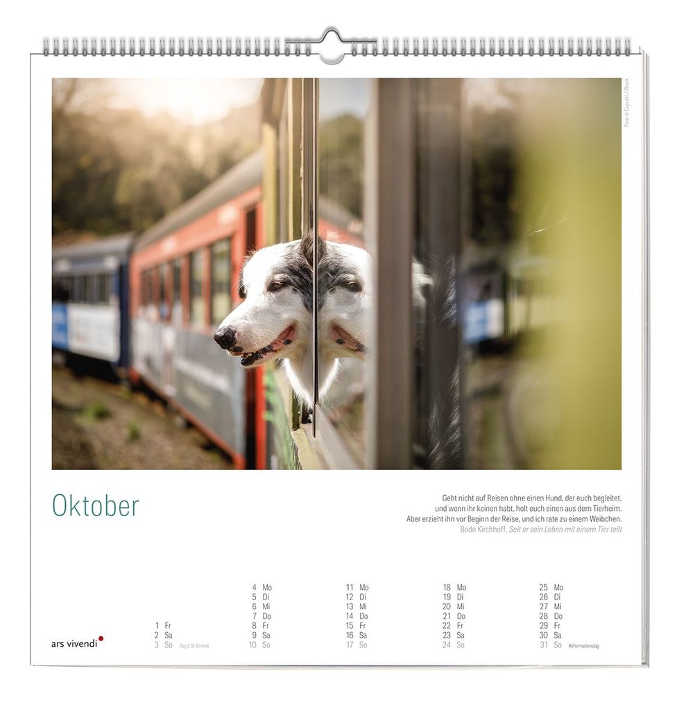 Weitere Ansicht: Der große literarische Hunde Kalender 2027 | ars vivendi Verlag