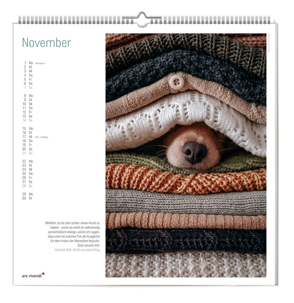 Weitere Ansicht: Der große literarische Hunde Kalender 2027 | ars vivendi Verlag