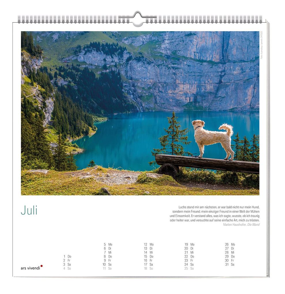 Weitere Ansicht: Der große literarische Hunde Kalender 2027 | ars vivendi Verlag