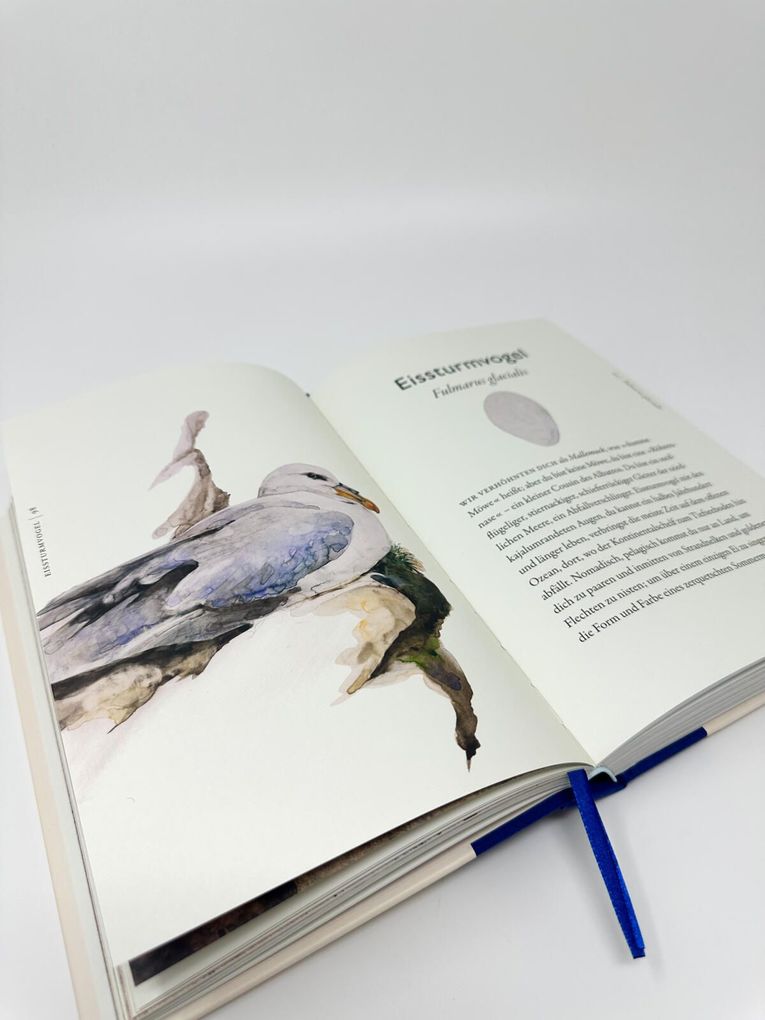 Weitere Ansicht: Das Buch der Vögel | Robert Macfarlane, Jackie Morris