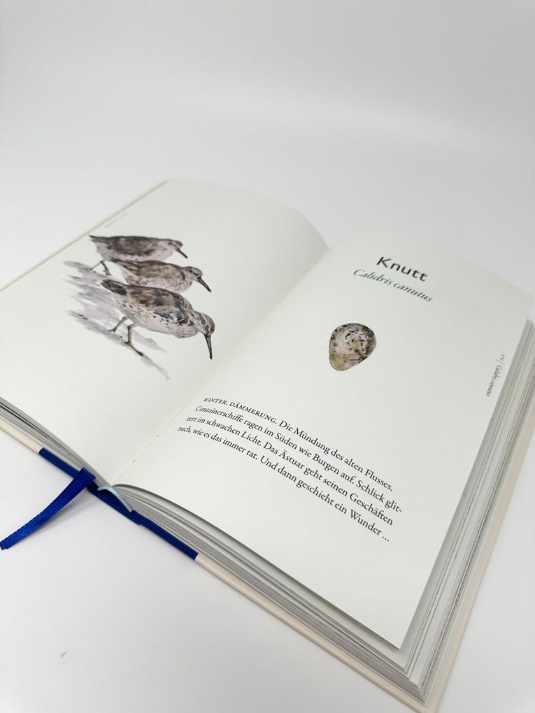 Weitere Ansicht: Das Buch der Vögel | Robert Macfarlane, Jackie Morris