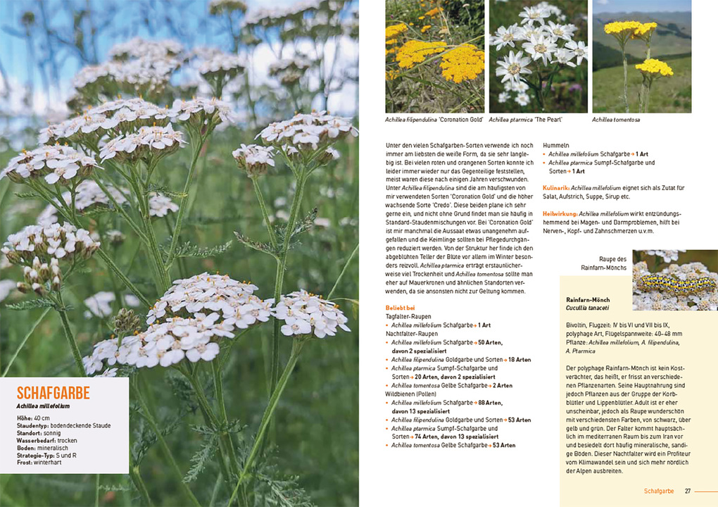 Weitere Ansicht: Klimastarke Stauden | Joachim Kugler