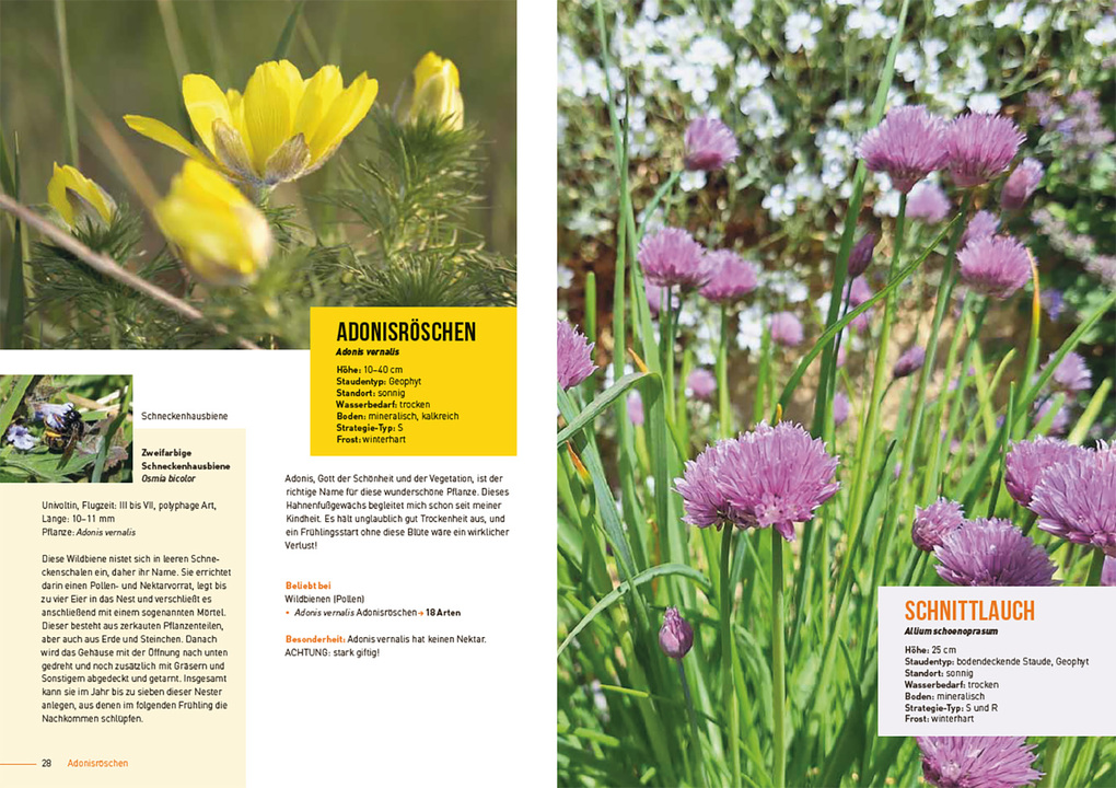 Weitere Ansicht: Klimastarke Stauden | Joachim Kugler