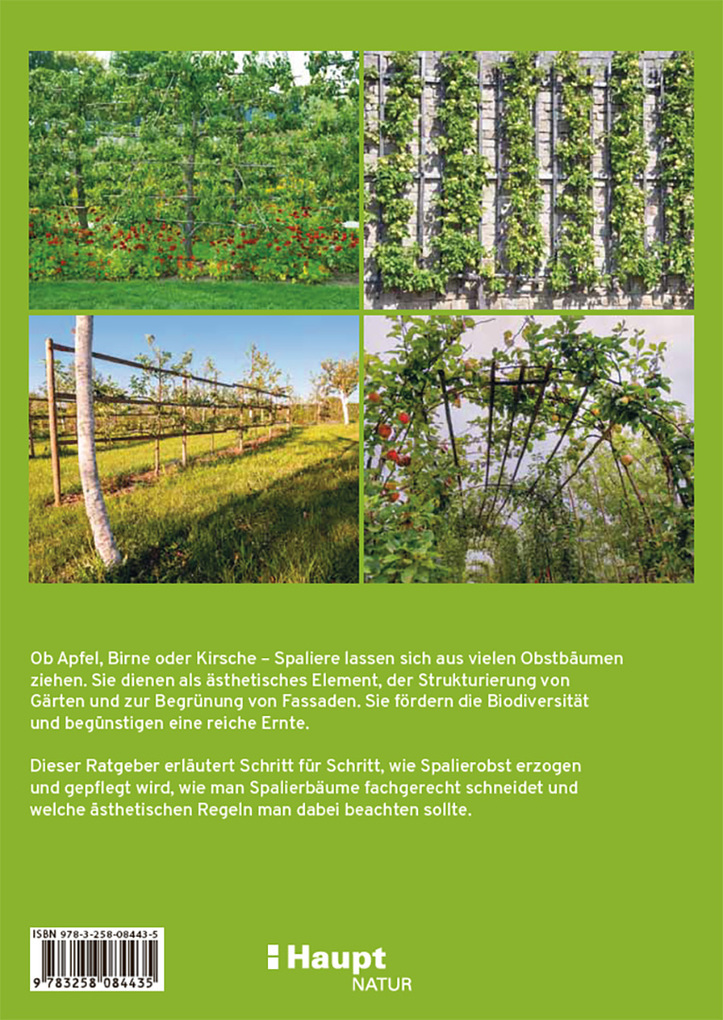 Weitere Ansicht: Spalierobst | Reiner Wahl