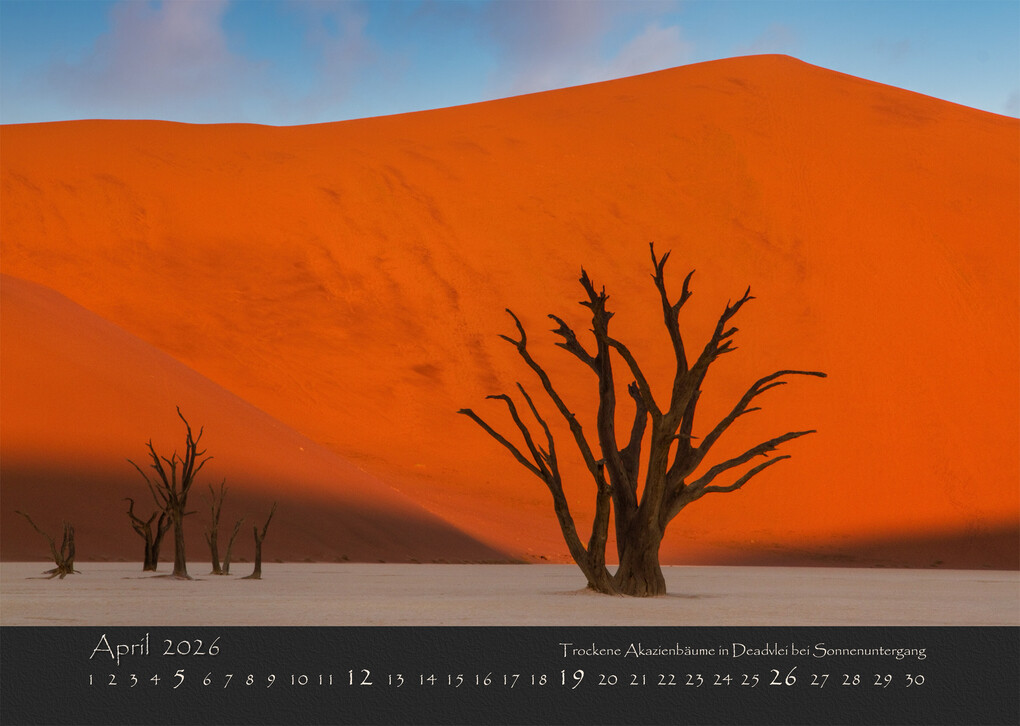 Weitere Ansicht: NAMIBIAS WILDNIS 2026