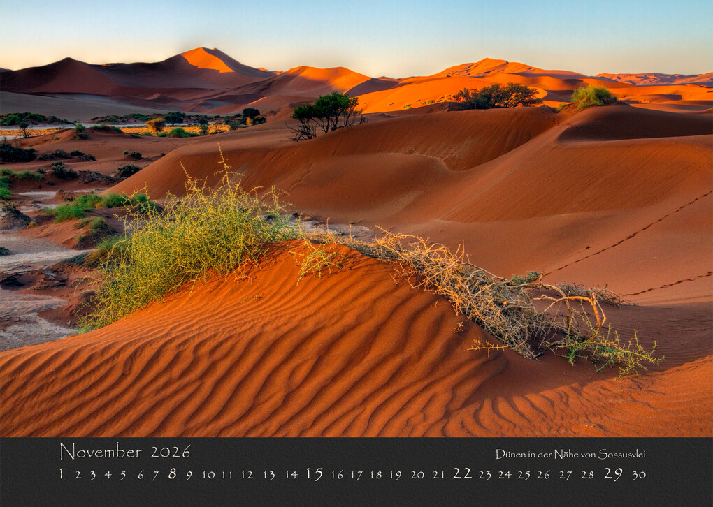 Weitere Ansicht: NAMIBIAS WILDNIS 2026