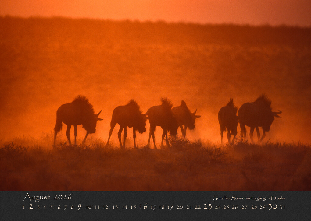 Weitere Ansicht: NAMIBIAS WILDNIS 2026
