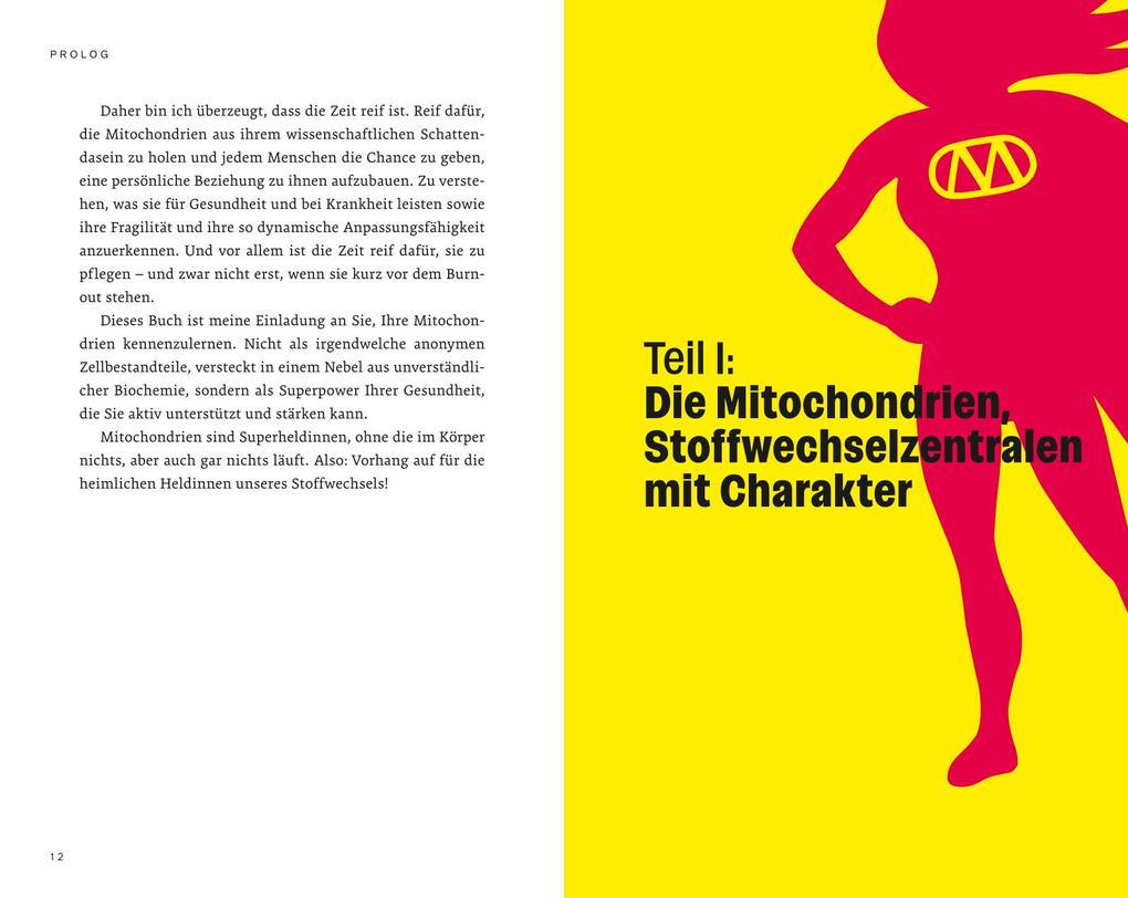 Weitere Ansicht: Die heimlichen Heldinnen des Stoffwechsels | Stephan Barth