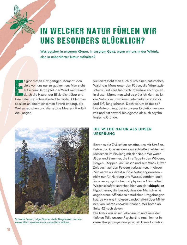 Weitere Ansicht: Let's go wild! | Antje Arnold