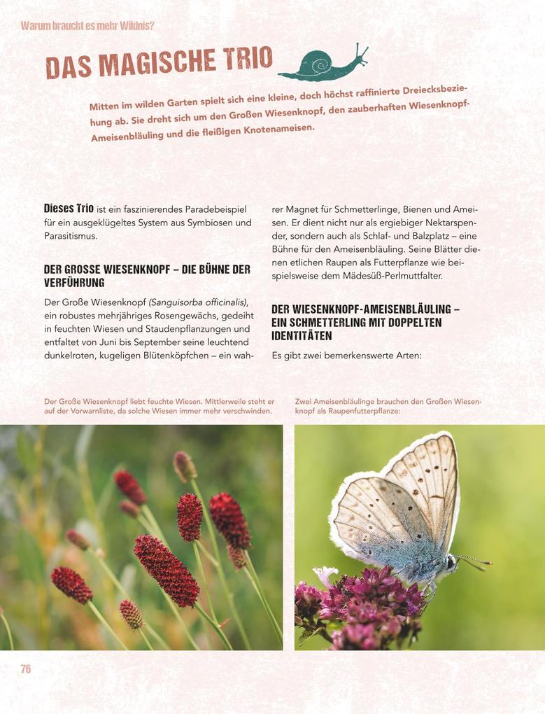 Weitere Ansicht: Let's go wild! | Antje Arnold