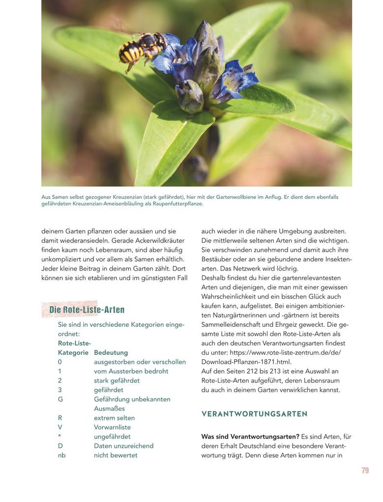 Weitere Ansicht: Let's go wild! | Antje Arnold