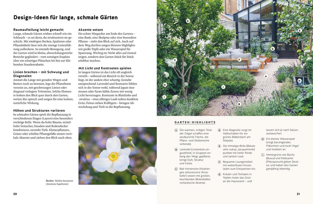 Weitere Ansicht: Small Garden Beauty | Folko Kullmann