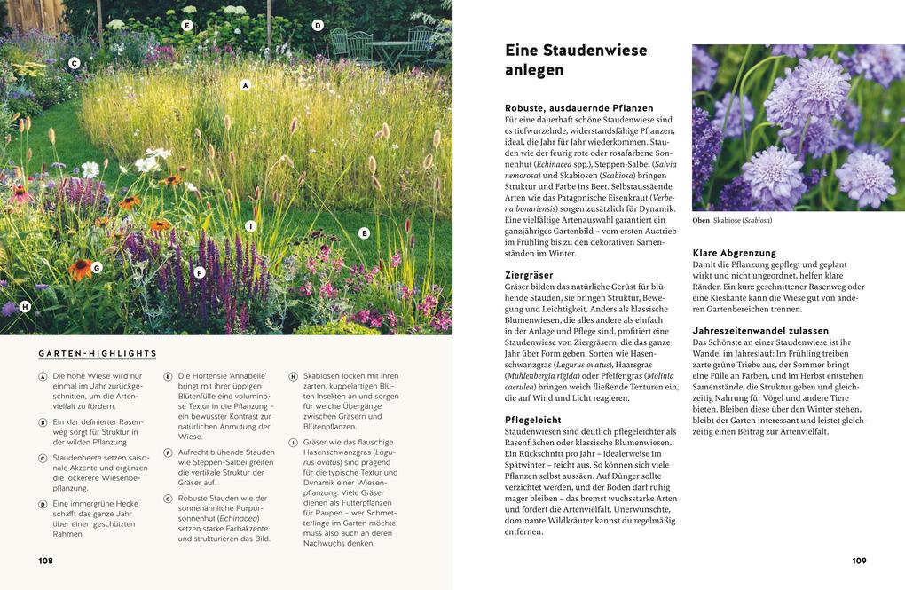 Weitere Ansicht: Small Garden Beauty | Folko Kullmann