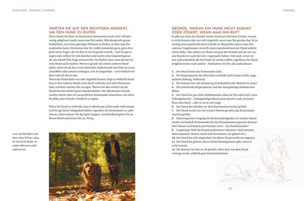 Weitere Ansicht: Leinen los! Freilauftraining für den Hund | Inga Böhm-Reithmeier, Katharina von der Leyen