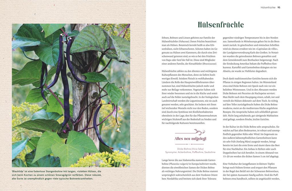 Weitere Ansicht: Alte Gemüsepflanzen wiederentdeckt | Bärbel Steinberger