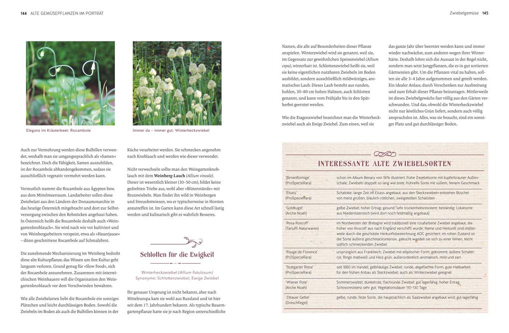 Weitere Ansicht: Alte Gemüsepflanzen wiederentdeckt | Bärbel Steinberger