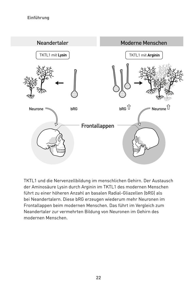 Weitere Ansicht: Die Zucker-Revolution | Johannes Coy, Judith Finlayson