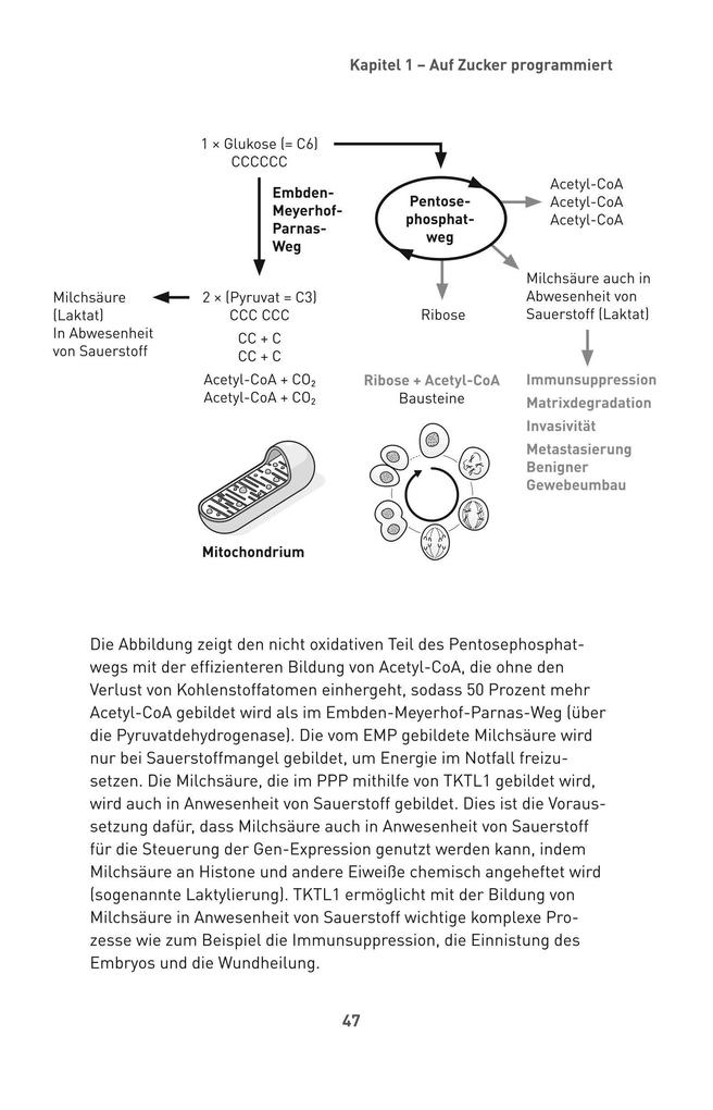 Weitere Ansicht: Die Zucker-Revolution | Johannes Coy, Judith Finlayson