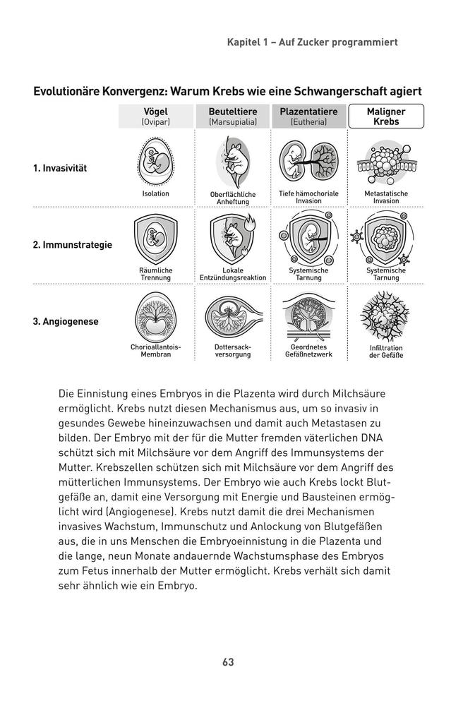 Weitere Ansicht: Die Zucker-Revolution | Johannes Coy, Judith Finlayson