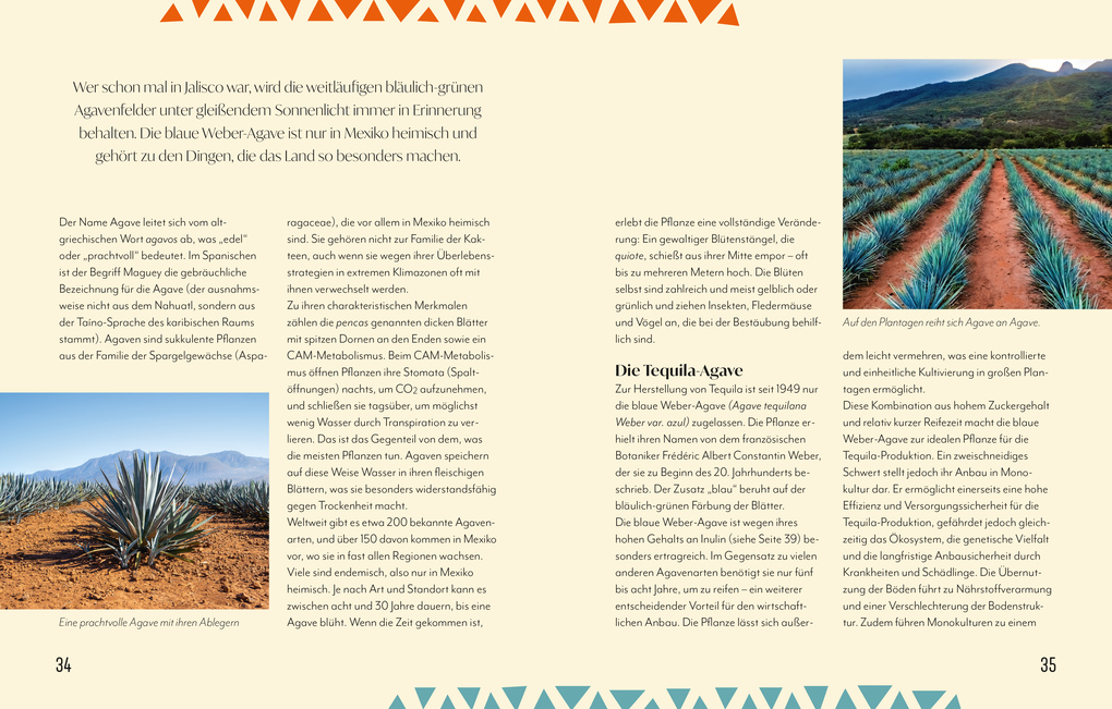 Weitere Ansicht: Tequila | Betty Kupsa