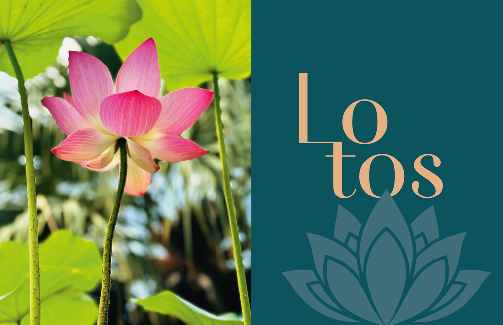 Weitere Ansicht: Willkommen in Thailand | Prisca Rüegg, Phassaporn Mankongthanachock