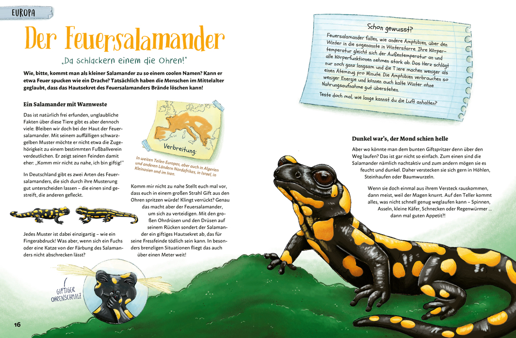 Weitere Ansicht: Stacheln, Schleim & spitze Zähne! Mein Bestiarium der außergewöhnlichen Tiere | Laura Tschorn