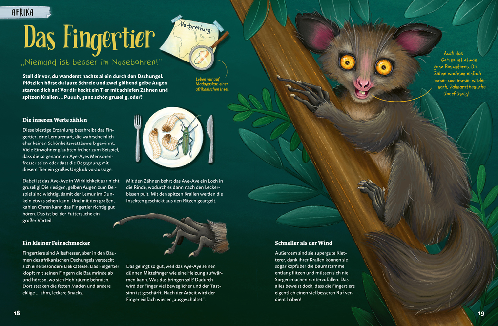 Weitere Ansicht: Stacheln, Schleim & spitze Zähne! Mein Bestiarium der außergewöhnlichen Tiere | Laura Tschorn