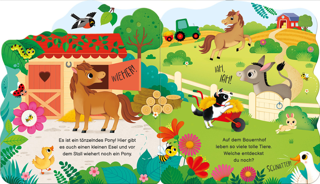 Weitere Ansicht: Wen entdeckst du? Auf dem Bauernhof | Alice Beecham