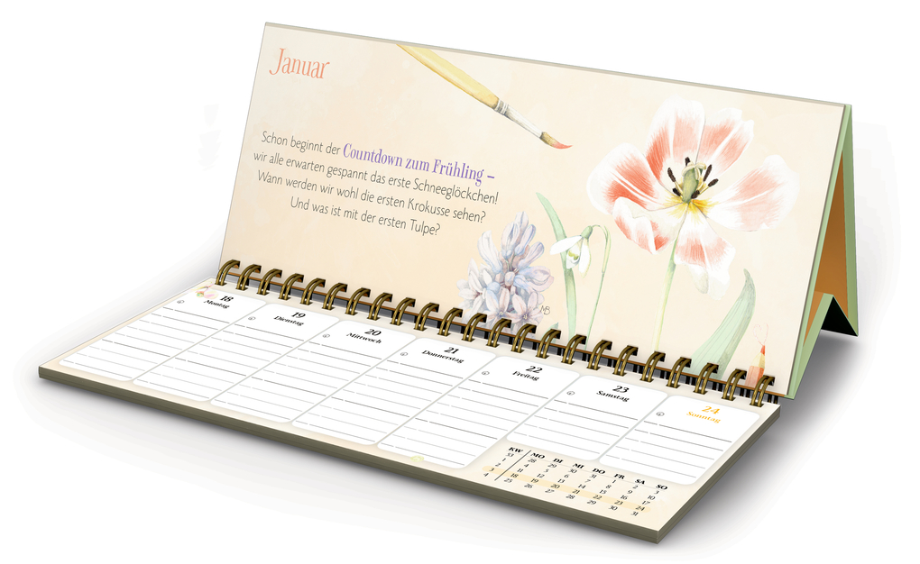 Weitere Ansicht: Wochenkalender 2027 - gelb