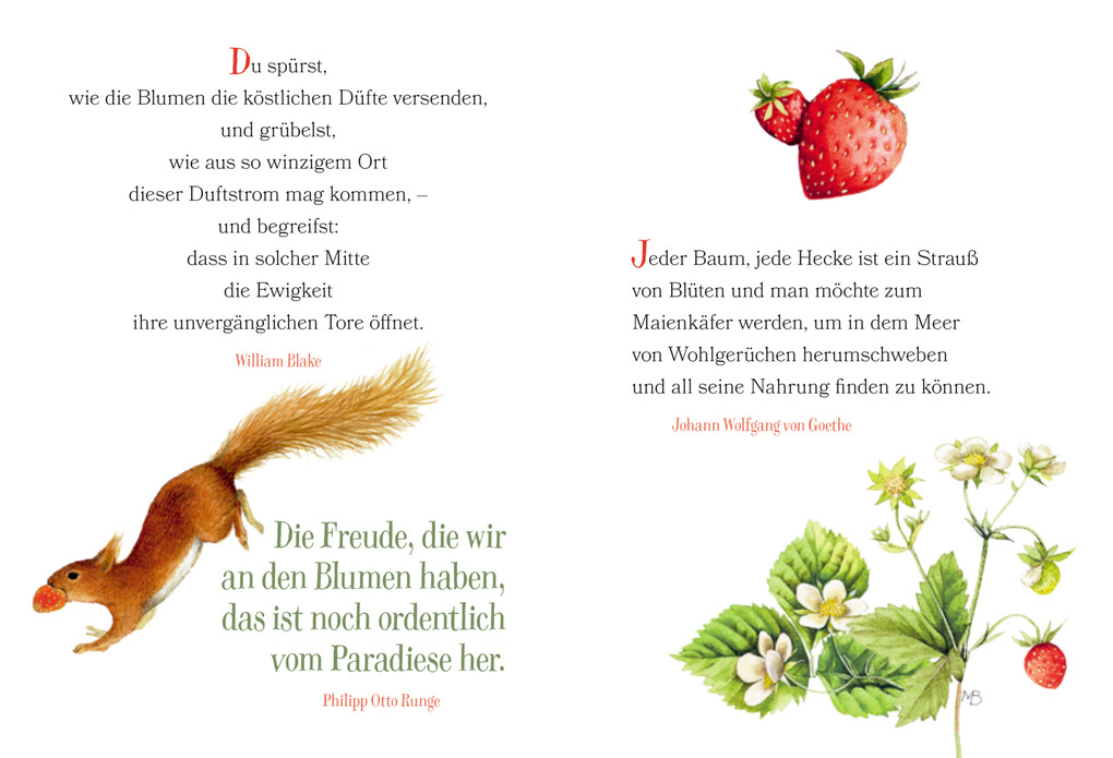 Weitere Ansicht: Der Weg zum Glück führt durch den Garten