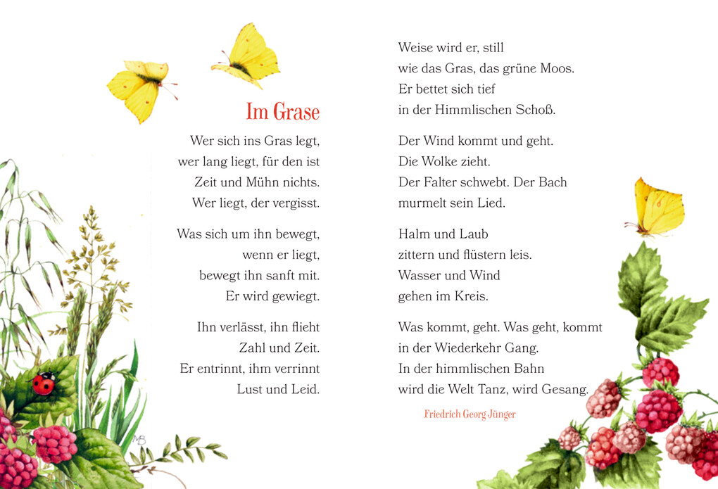 Weitere Ansicht: Der Weg zum Glück führt durch den Garten