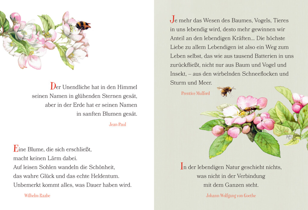 Weitere Ansicht: Der Weg zum Glück führt durch den Garten