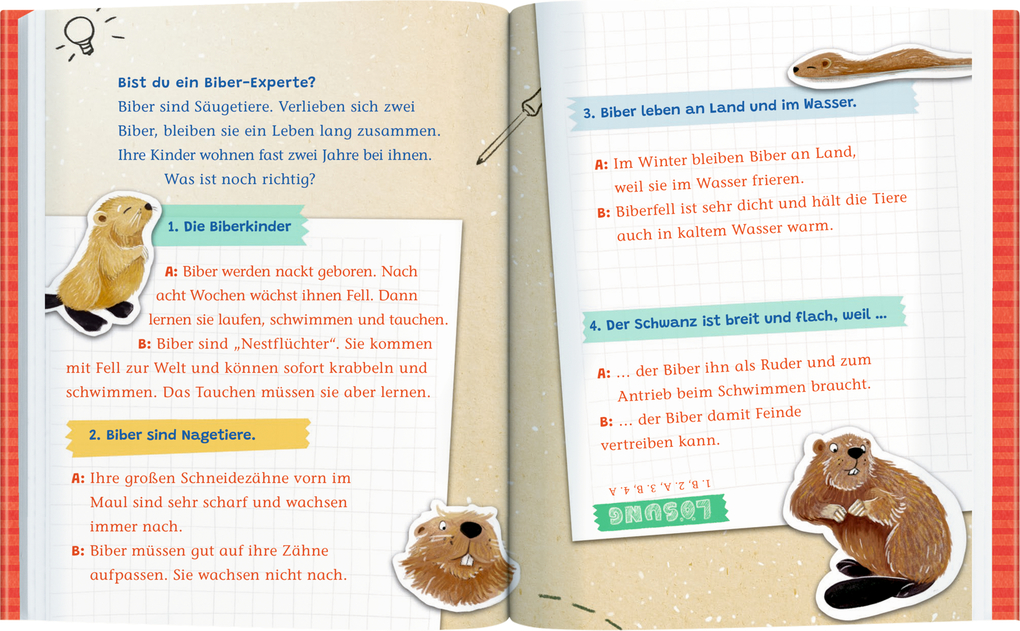 Weitere Ansicht: Emil Einstein (Leseanfänger, Bd. 1) | Suza Kolb