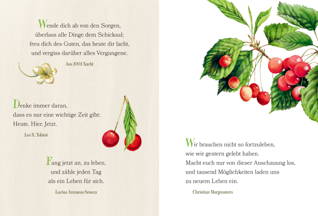 Weitere Ansicht: Jeder Tag ist ein Geschenk