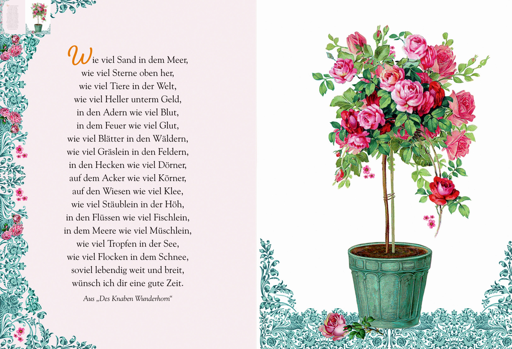 Weitere Ansicht: Zum Geburtstag für dich