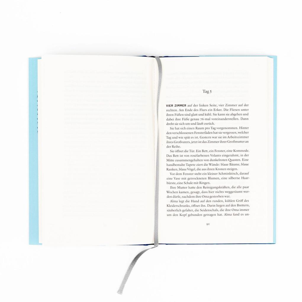 Weitere Ansicht: Weißer Sommer | Eva Pramschüfer