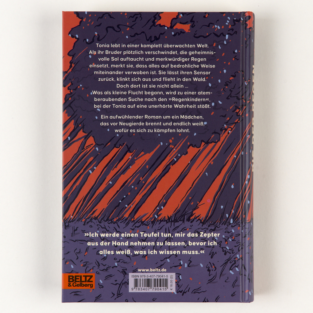 Weitere Ansicht: Bis der Regen Feuer fängt | Stefanie Höfler