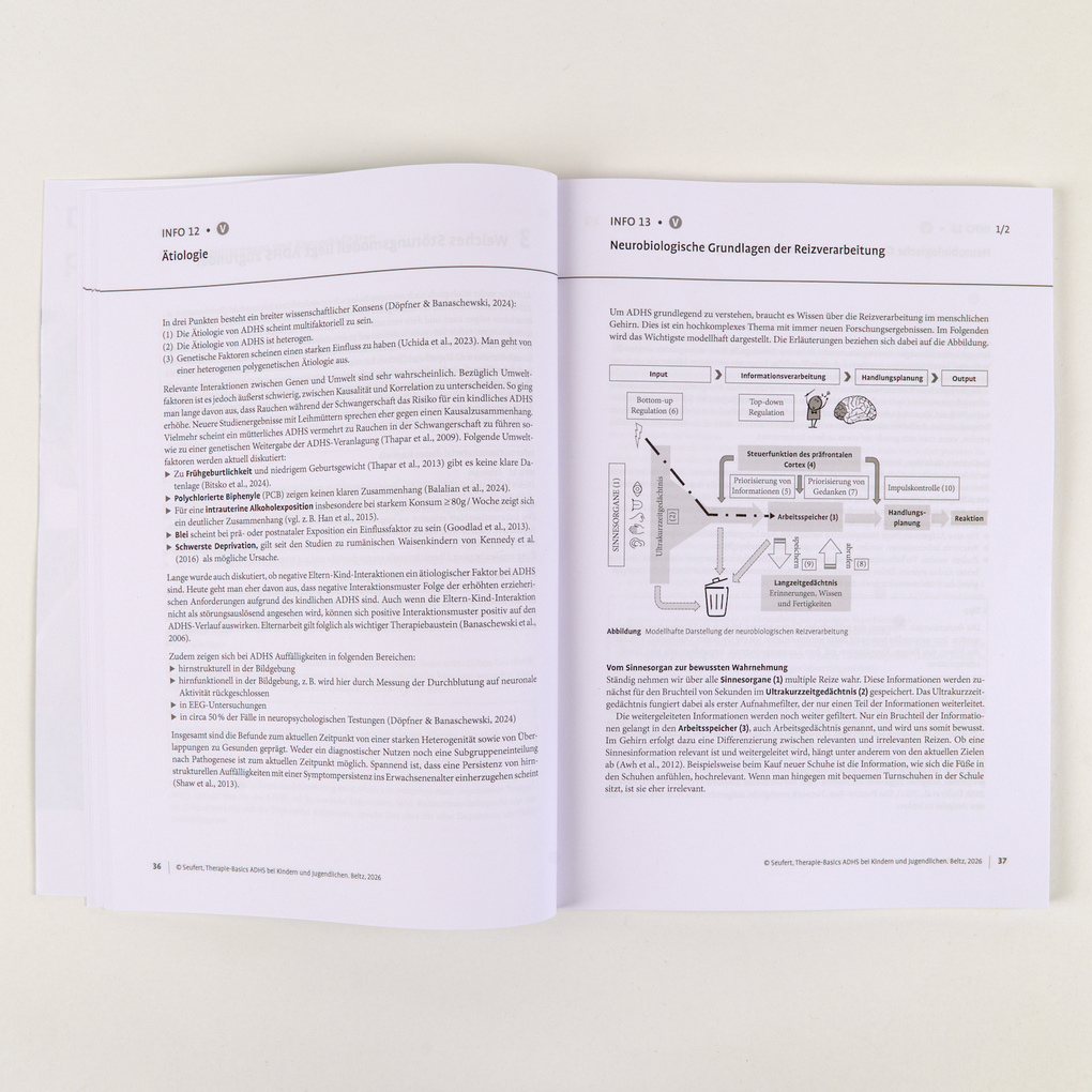 Weitere Ansicht: Therapie-Basics ADHS bei Kindern und Jugendlichen | Claire Seufert