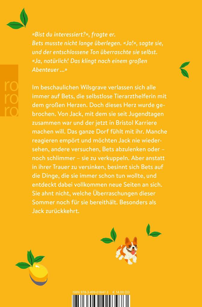 Weitere Ansicht: Ein Wiedersehen im Sommer | Julie Caplin