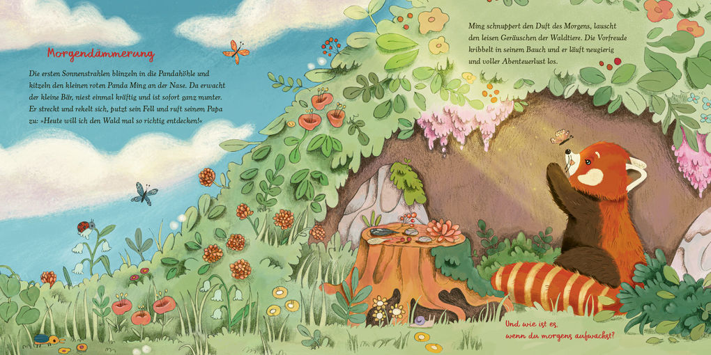 Weitere Ansicht: Der kleine rote Panda und die Achtsamkeit | Aljoscha Long, Ronald Schweppe