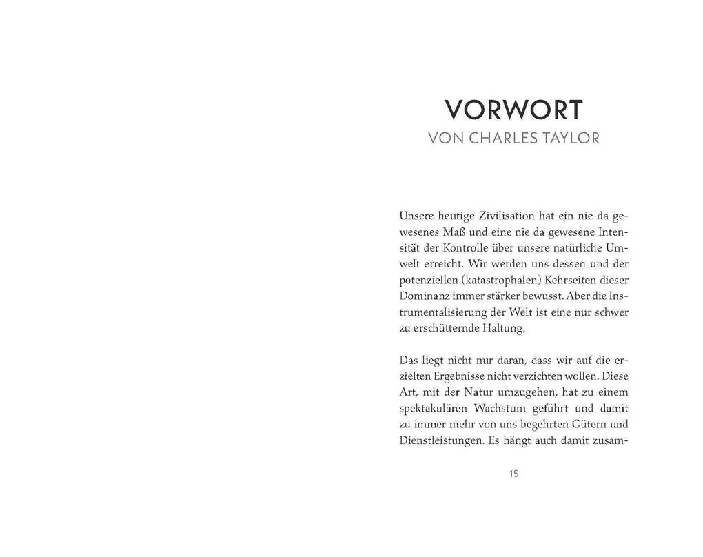 Weitere Ansicht: Demokratie braucht Religion - gerade jetzt! | Hartmut Rosa