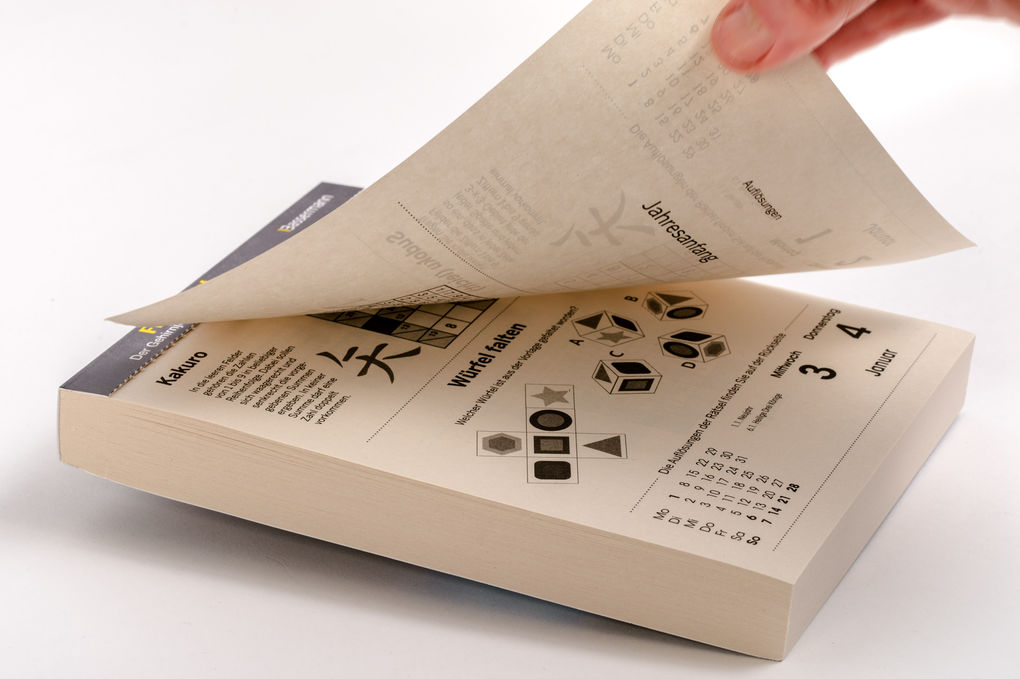 Weitere Ansicht: Fit im Kopf - der Gehirnjogging-Kalender 2027 | Eberhard Krüger