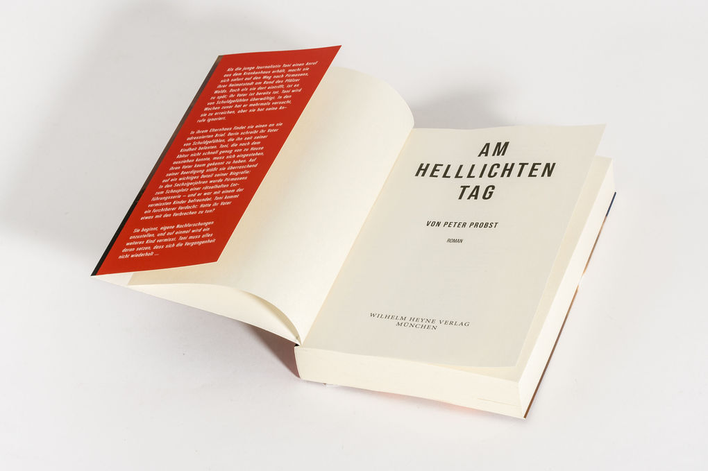 Weitere Ansicht: Am helllichten Tag | Peter Probst