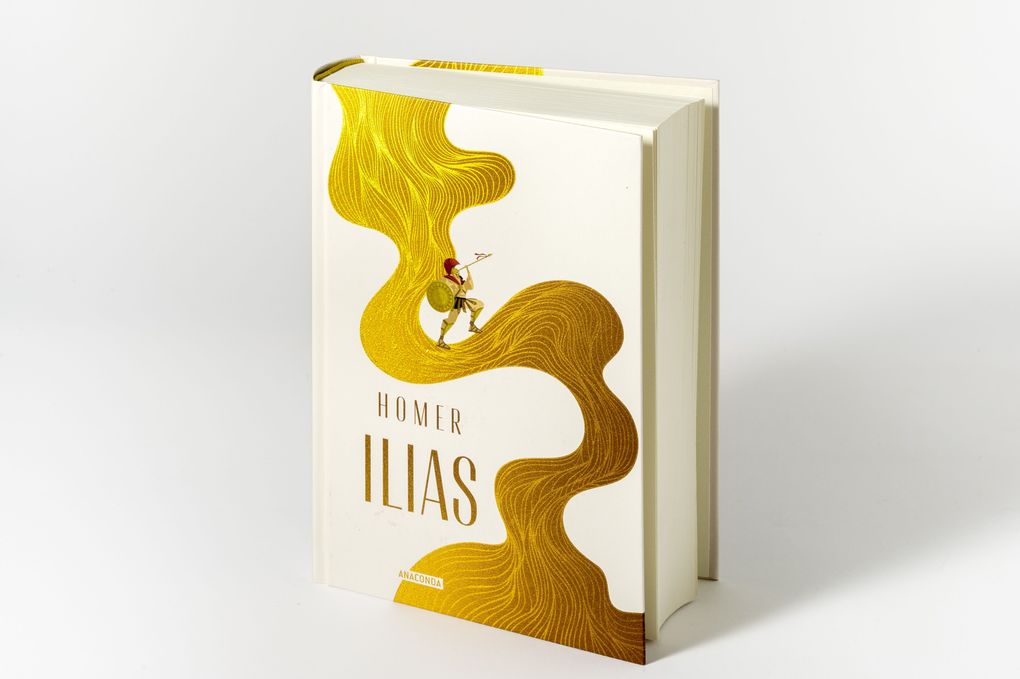 Weitere Ansicht: Ilias | Homer