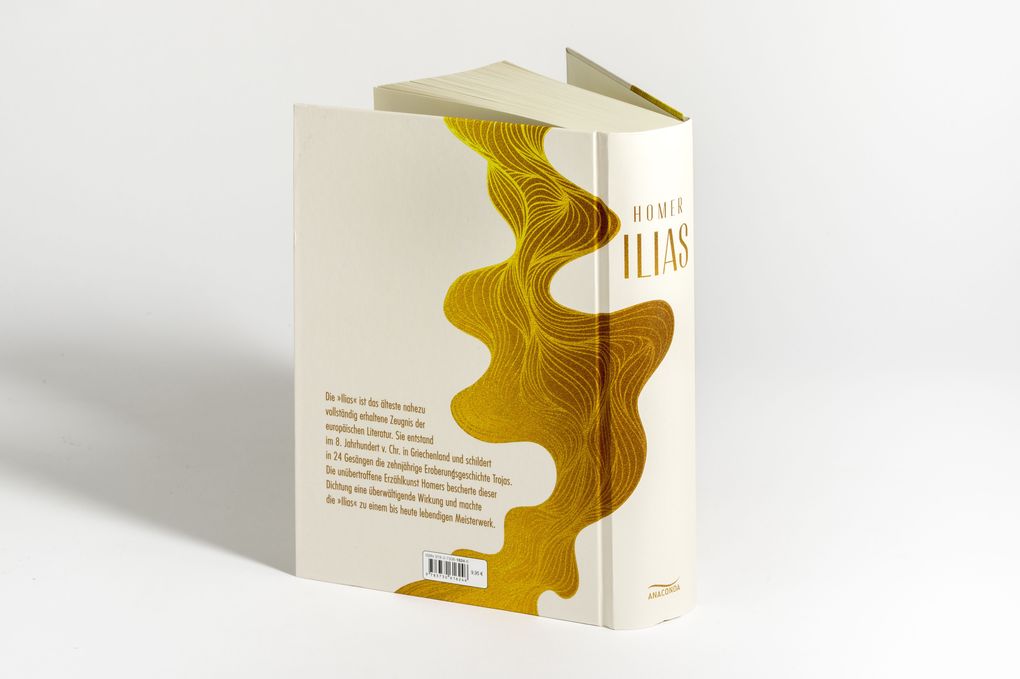 Weitere Ansicht: Ilias | Homer